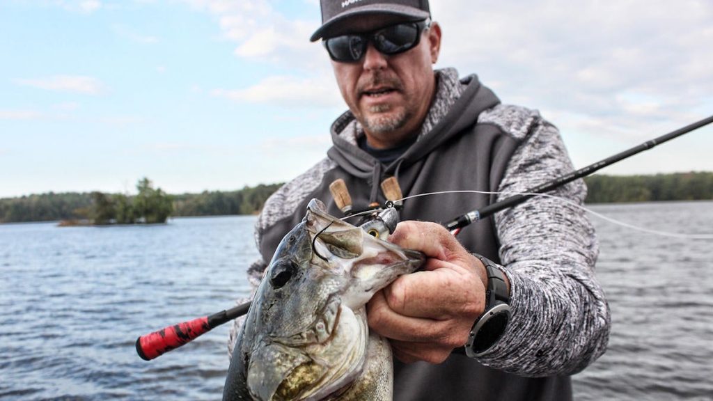 How To Catch Suspended Bass With Garmin Livescope Wired Fish