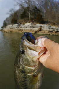 Dead End Bluffs Bass Fishing