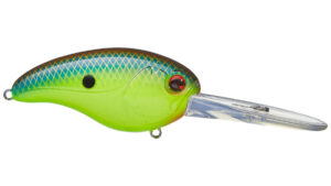 IMA Beast Hunter Crankbait Review