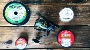 How to Choose Bass Fishing Line