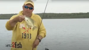 How to Drop Shot Deep Crappie and Bluegill