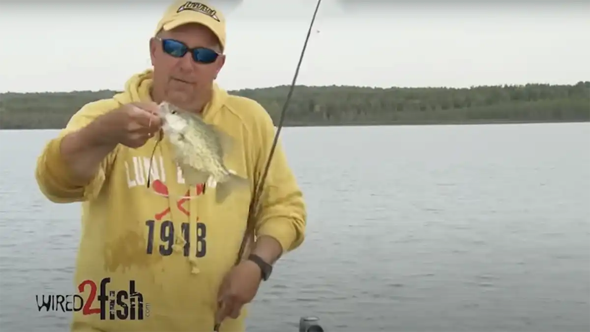 How to Drop Shot Deep Crappie and Bluegill - Wired2Fish