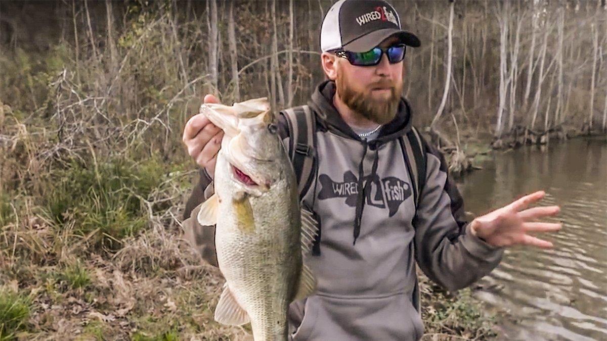 Avoid this Mistake when Fishing from the Bank - Wired2Fish