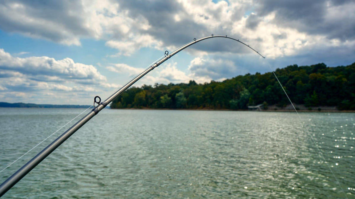 Ark Genesis Series 2-Piece Travel Rod Review - Wired2Fish