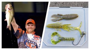 3 Alternative Baits for Shaky Head Bass Fishing