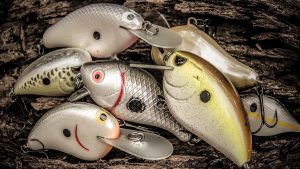 Surrounded by Bait: Which Crankbait Should I Choose?