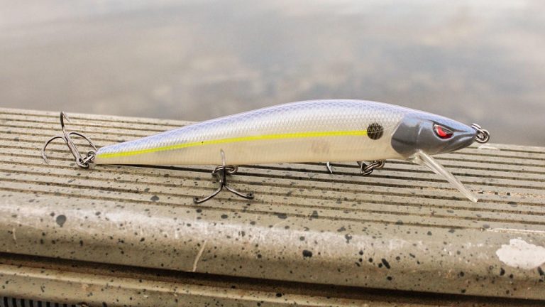 5 Bass Fishing Baits for Shallow, Cold Water