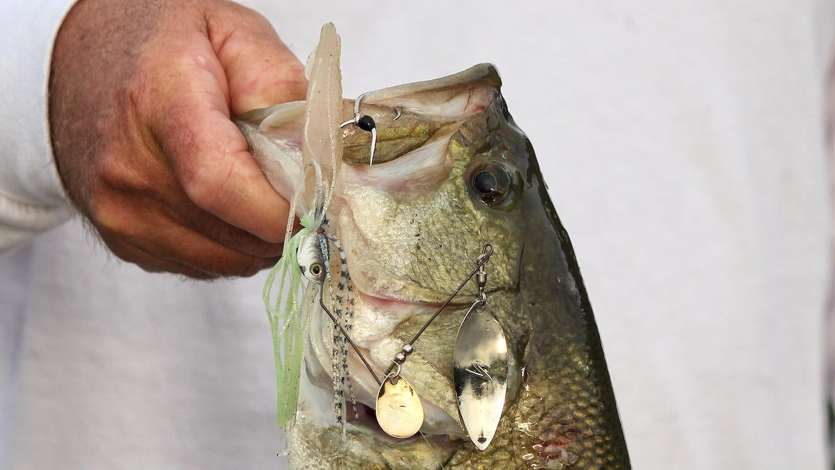 5 Hacks for Securing Bass Fishing Trailer Hooks - Wired2Fish