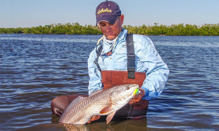 Why You Should Wade Fish for Redfish