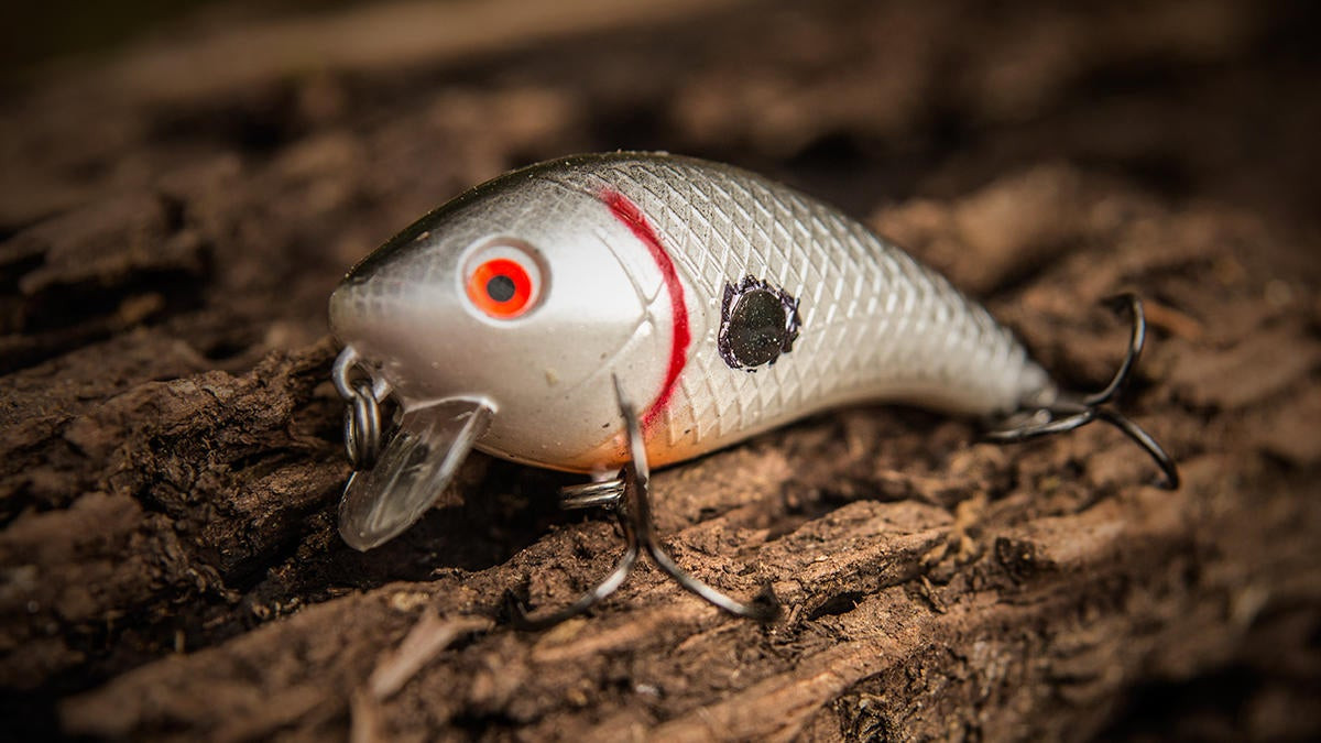 Surrounded by Bait: Which Crankbait Should I Choose? - Wired2Fish