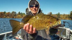 How Lipless Crankbaits Excel for Fall Bass in Rivers