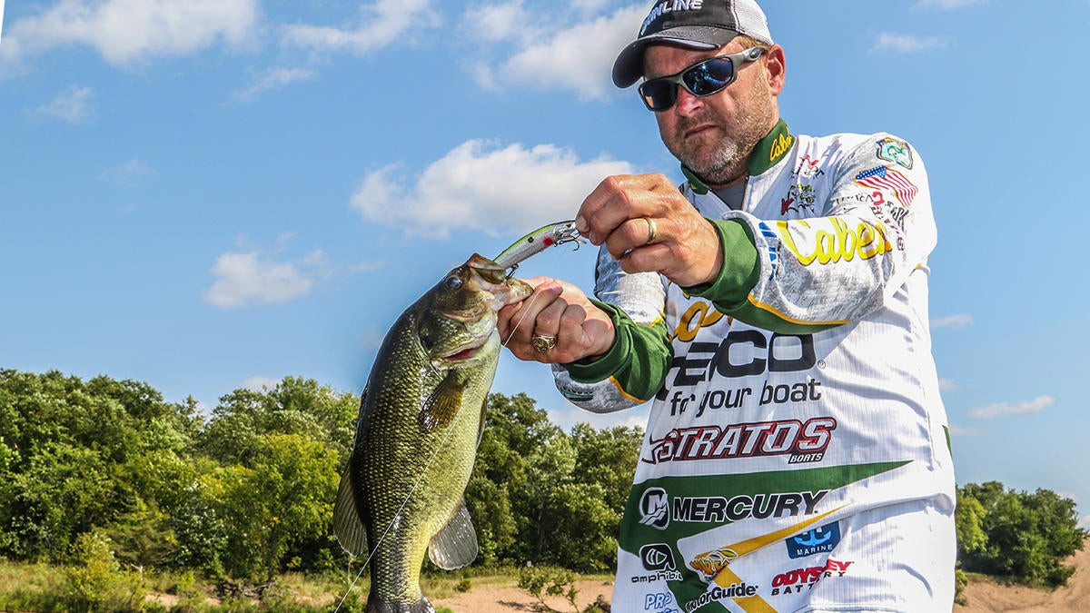 How to Use a Senko to Catch More Bass from the Bank - Wired2Fish