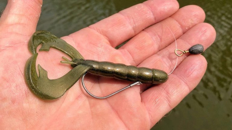 How to Fish the Free Rig for Bass Fishing