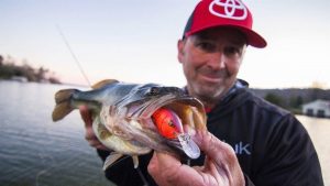 Crankbait Fishing Lake Guntersville for Springtime Bass