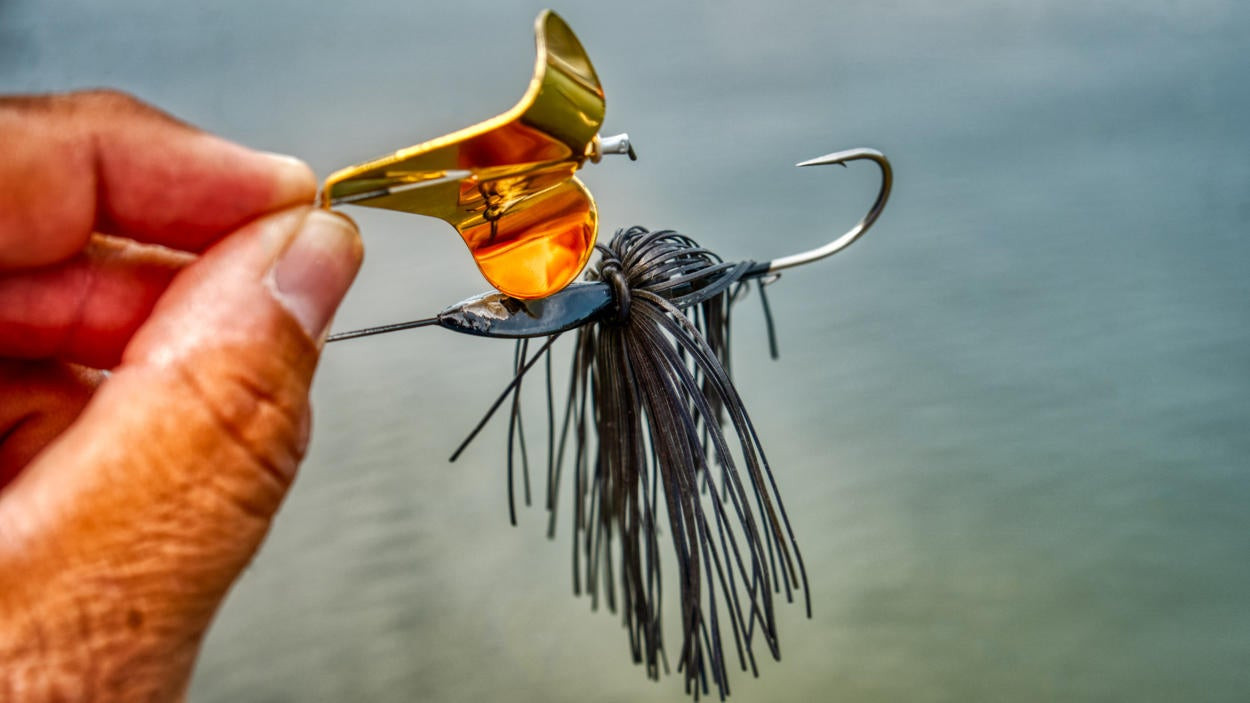 What's All the Buzz About? Everything You Need to Know About Buzzbaits -  Woods & Waters Magazine