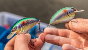 Why You Should Sand Your Crankbaits