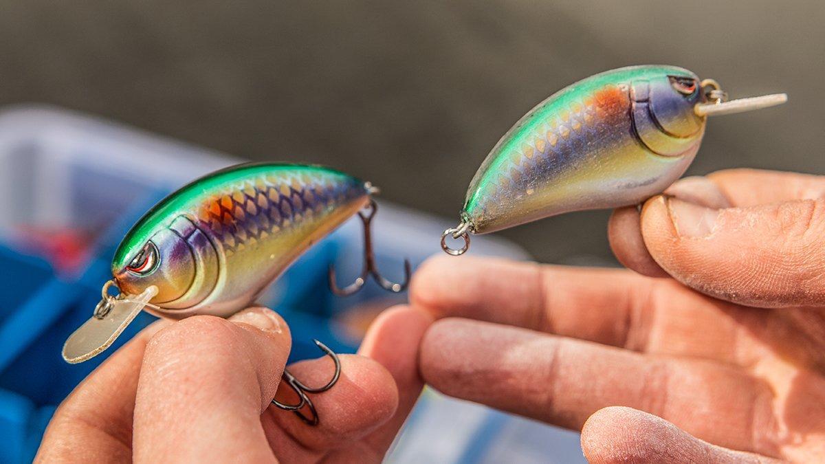 Why You Should Sand Your Crankbaits - Wired2Fish