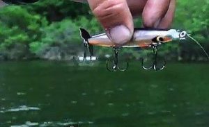 Modifying Topwater Prop Baits