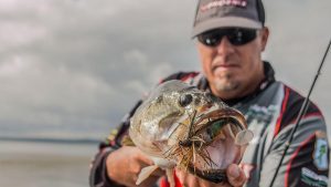 Where to Fish a Swim Jig this Fall