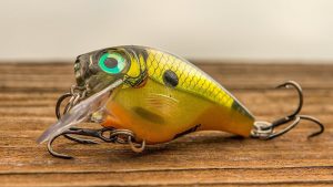 Rapala BX Brat Crankbait Review