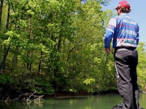 Why to Fish with Frogs in Heavy Cover for Bass