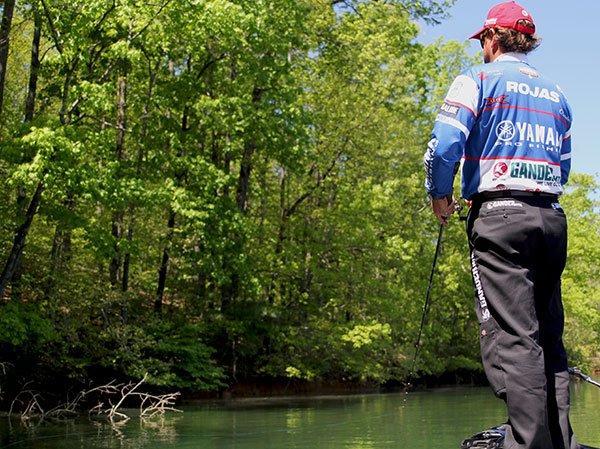 Why to Fish with Frogs in Heavy Cover for Bass - Wired2Fish