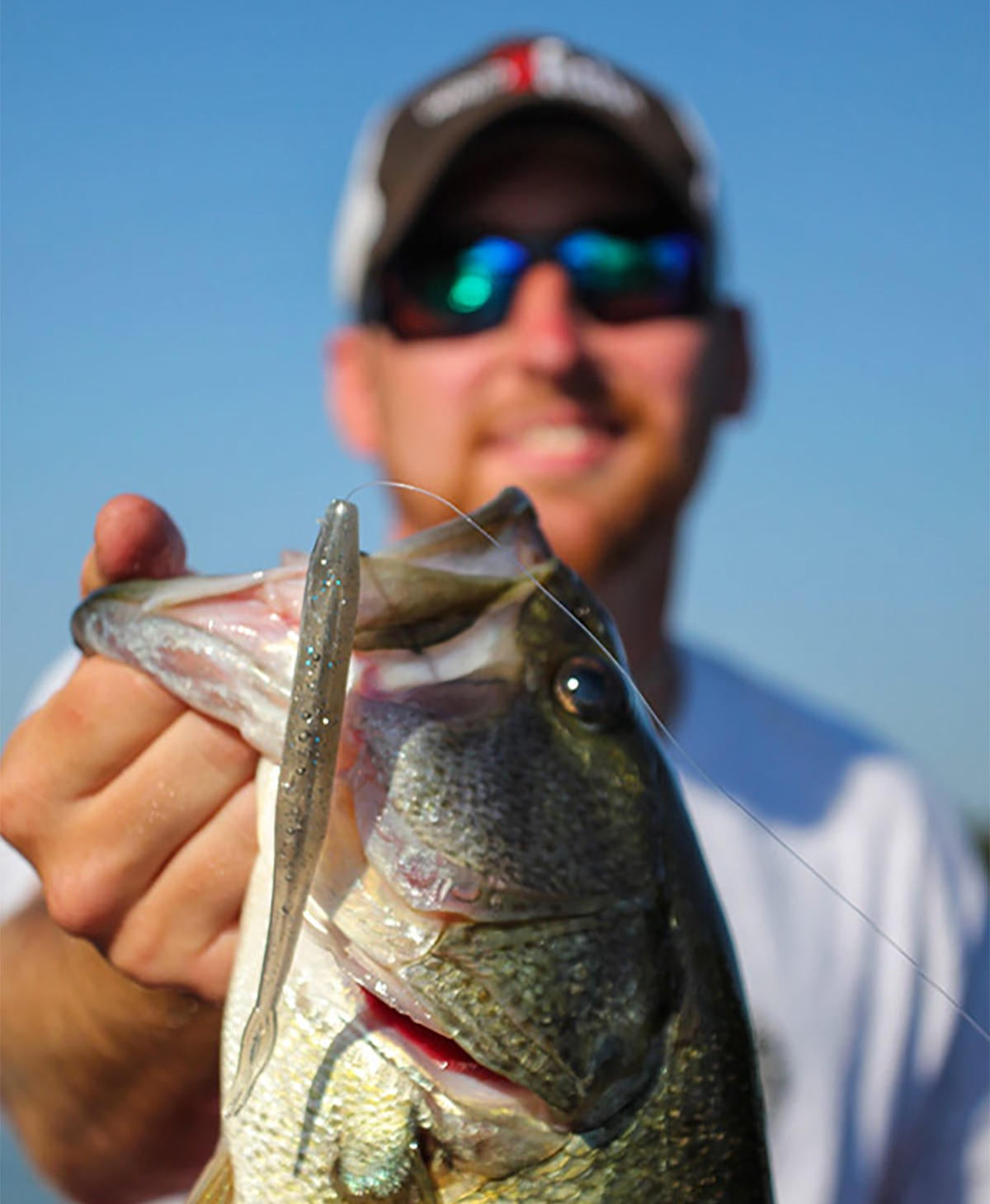 5 Must-Have Bass Fishing Baits for Co-Anglers - Wired2Fish