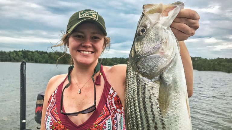 How to Catch Striped Bass in the Summer