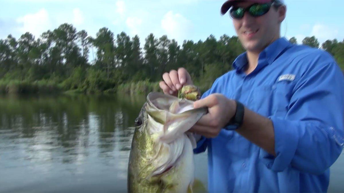 Huge Bass Attacks Baby Duck Lure - Wired2Fish