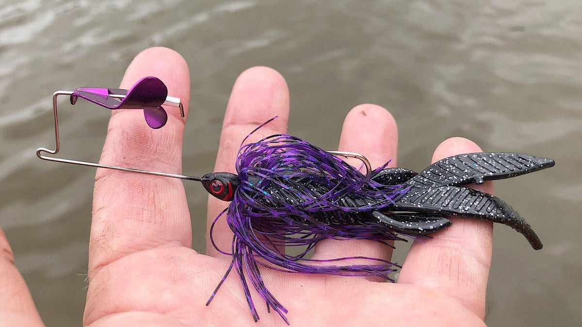 Early Spring Buzzbaits: Why You Should Throw One Now - Wired2Fish