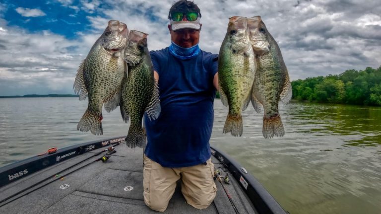 Catch More Big Crappie with These 5 Tips on Jig Control