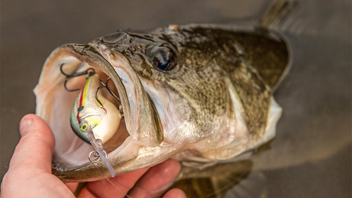 Change your trebles for fall fishing success