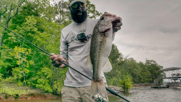 3 Advanced Shaky Head Tips for Spawning Bass
