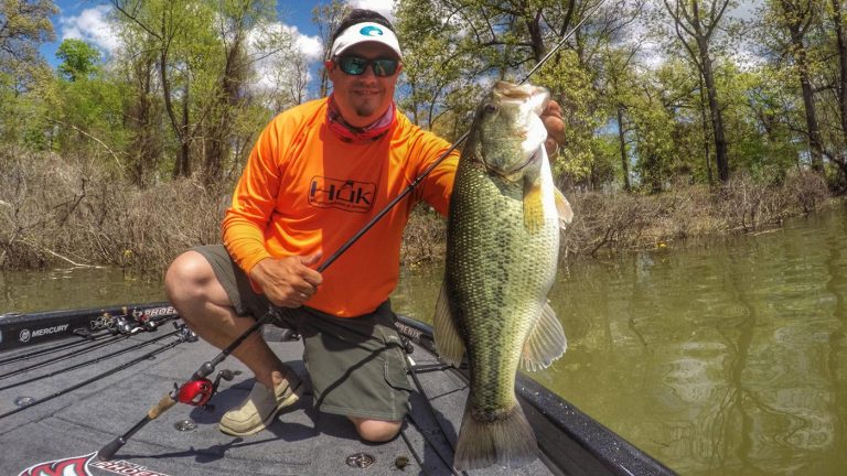 8 Tips to Catch Skittish Bass in Clear Water