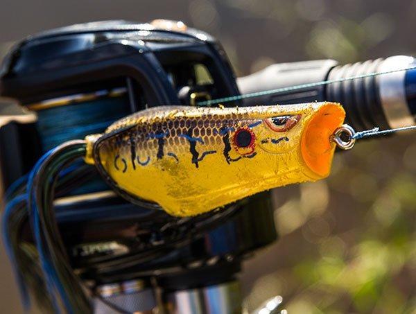 5 Must-Have Bank Fishing Baits