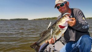 A-Rigs for In-Between Bass Fishing