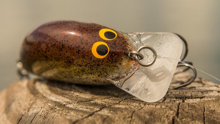 Bagley Pro Sunny B Crankbait Review