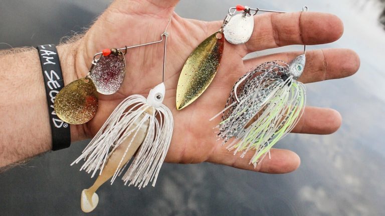 5 Bass Fishing Baits for Shallow, Cold Water