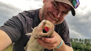 How to Catch Bass on Summer Mayfly Hatches