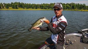 Fishing Brush Piles for Bass in the Summer