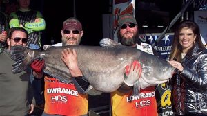 Huge Catfish Caught from Popular Bass Fishing Lake