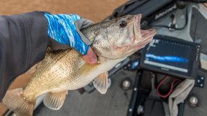 Fish Monkey Pro 365 Guide Glove Review