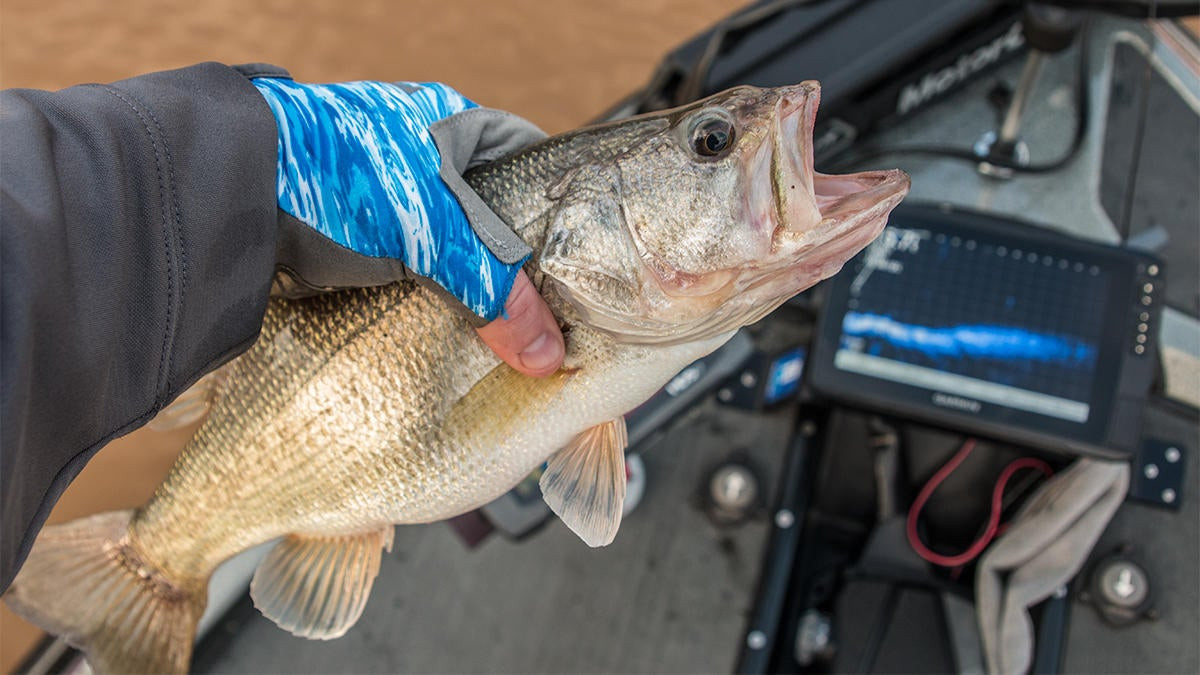 Buyer's Guide: The Best Fish Grippers