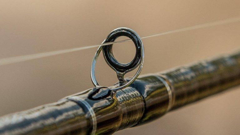 10 Common Mistakes in Fishing Line Care