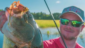 How to Flip and Pitch Bass in Matted Wild Rice