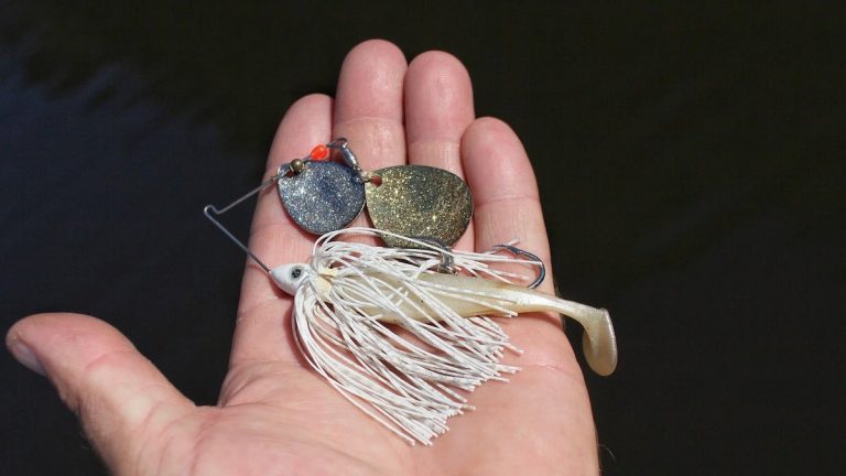 Fall Bass Fishing with Spinnerbaits: How to Choose the Best One for the Job