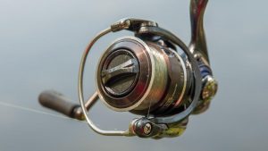 Daiwa Procyon EX Spinning Reel Review