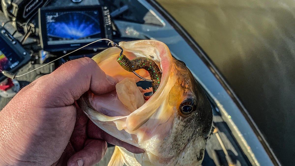 Berkley Powerbait The General Worm Review - Wired2Fish