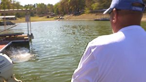 Target Bass on Isolated Cover in Creek Arms