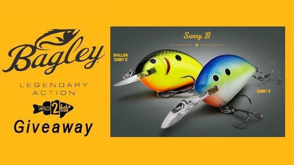 Bagley Sunny B Giveaway Winners - Wired2Fish